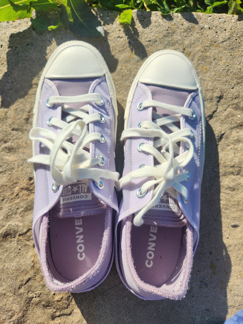 Converse Lavender Low Top Canvas Sneakers with White Toe Caps